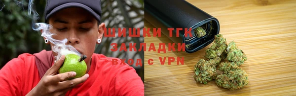 ГАЛЛЮЦИНОГЕННЫЕ ГРИБЫ Лабытнанги