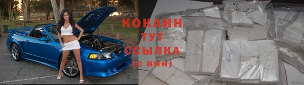 ГАЛЛЮЦИНОГЕННЫЕ ГРИБЫ Лабытнанги
